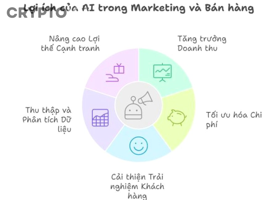 Kiểm tra on-chain và ví burn của dự án crypto