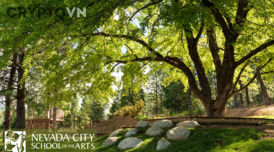 Kiểm Tra Checklist Đánh Giá Web3 Game Trước Khi Nạp Tiền Cho Người Mới: Từ Gameplay Đến Tokenomics