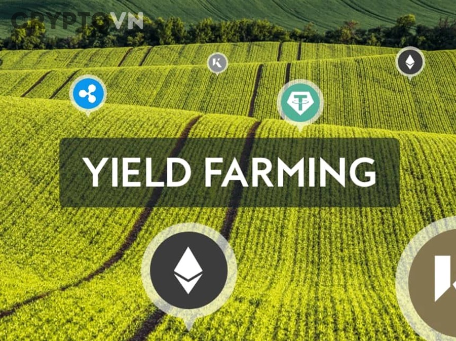 Làm thế nào để chọn công cụ theo dõi yield farming tốt nhất cho người mới?