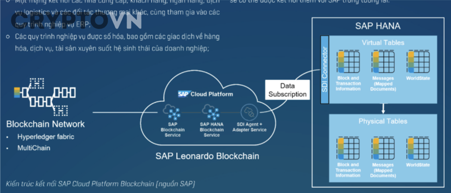 Các Mô Hình Tích Hợp Blockchain Vào ERP Doanh Nghiệp: Từ Hybrid Đến Phi Tập Trung Hoàn Toàn