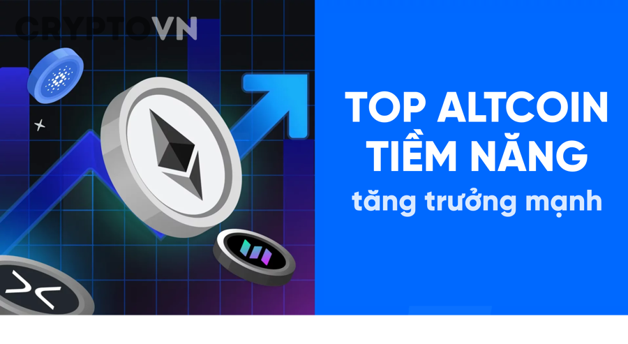 Làm Thế Nào Để Nhận Diện Top Altcoin An Toàn Trước Khi Mua?