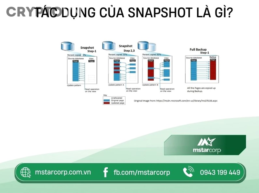 Điều kiện nhận airdrop và phân tích snapshot trong crypto
