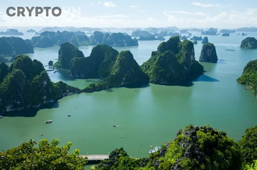 Nhà đầu tư crypto nên phân biệt khối lượng thật và khối lượng ảo bằng cách nào?