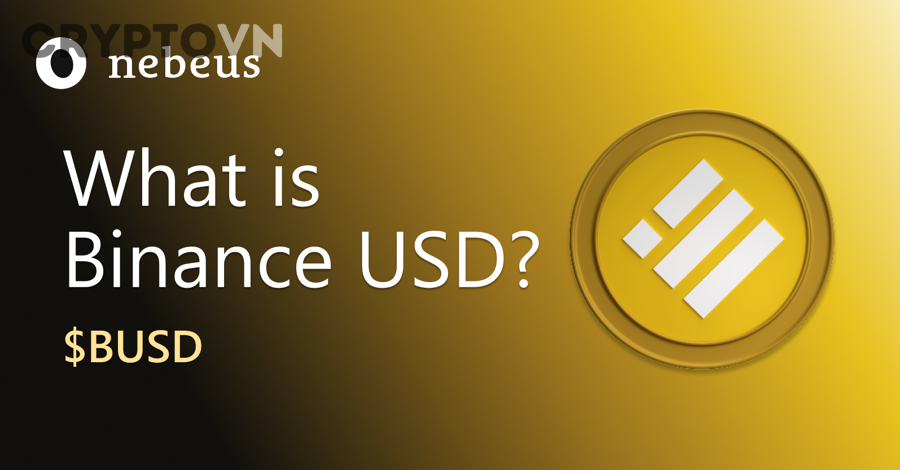 Người mới cần hiểu gì để không nhầm lẫn giữa BUSD, Binance và Binance-Peg BUSD?