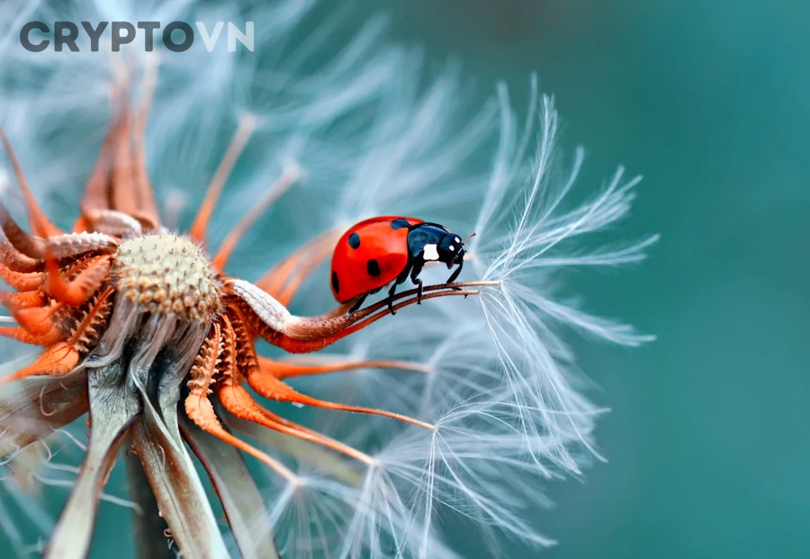 Giải Mã Macro Crypto: Cách Đọc Yếu Tố Vĩ Mô Ảnh Hưởng Giá Bitcoin Cho Nhà Đầu Tư Mới