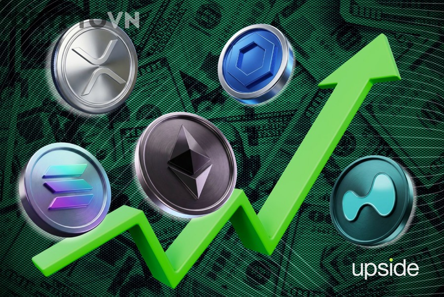 Altcoin Rủi Ro Cao Trong Thị Trường 2025–2026: Cơ Hội Hay Cạm Bẫy Mới?