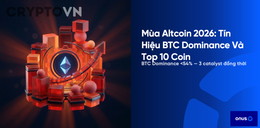 Nhà đầu tư crypto nên hiểu gì từ khác biệt giữa bear market altcoin và BTC?