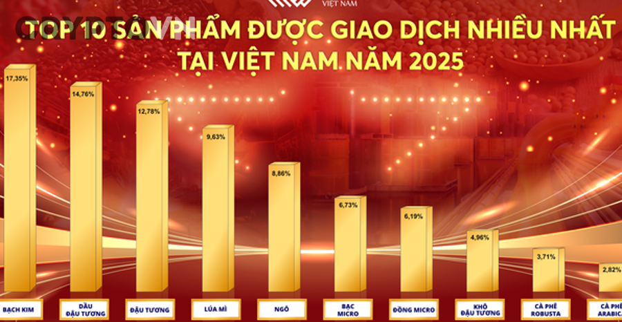 Cách đánh giá phí giao dịch và thanh khoản crypto tại Việt Nam cho người mới bắt đầu