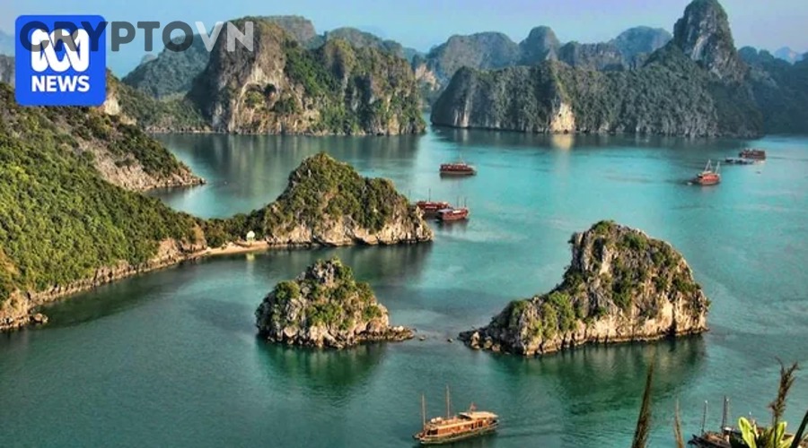 Minh họa timeline cliff và vesting schedule trong crypto