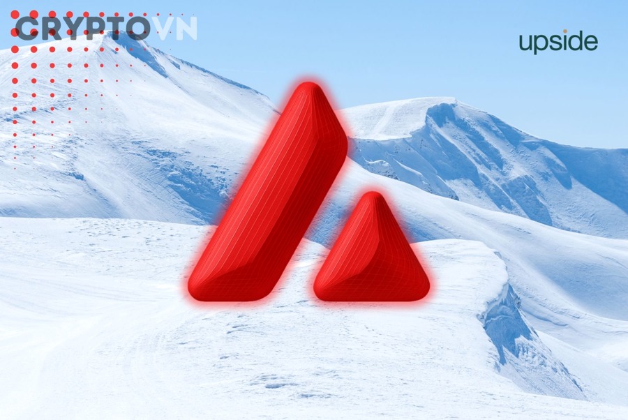 Blockchain tùy chỉnh trên Avalanche cho doanh nghiệp