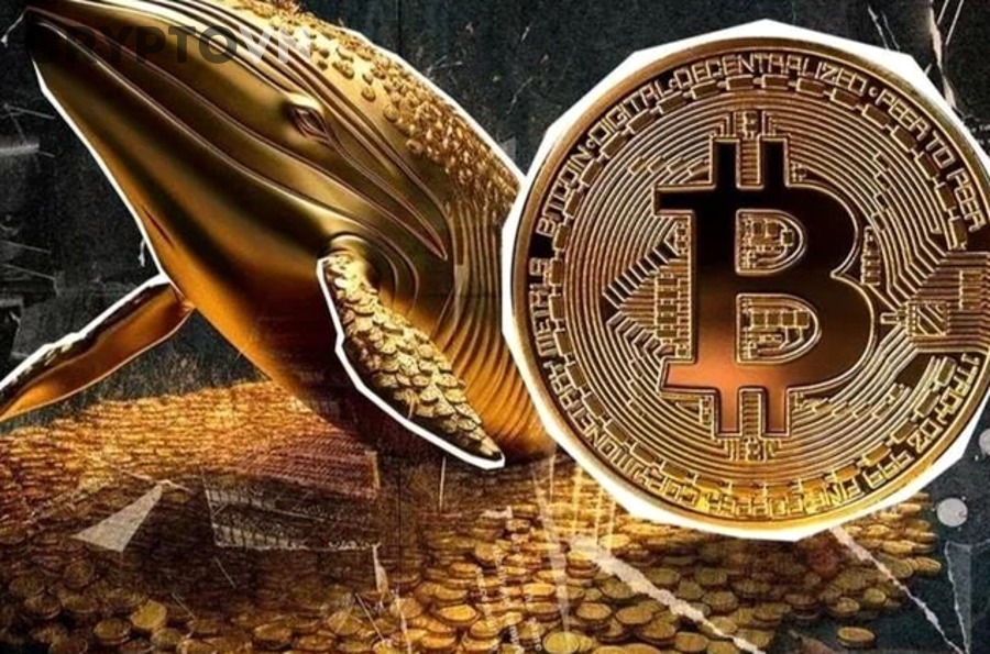 USDC khác gì USDT?