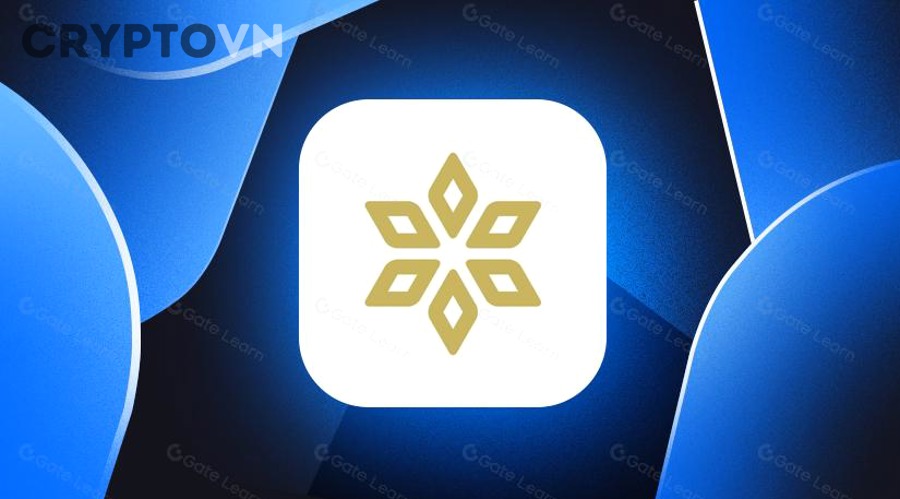 Nhà đầu tư Web3 nên đánh giá xu hướng phygital trong metaverse và NFT theo tiêu chí nào?