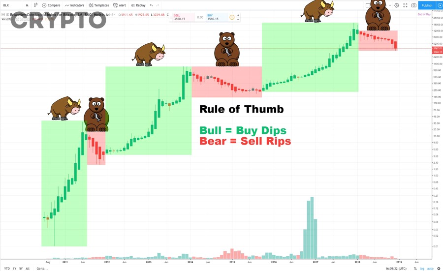 Bear market crypto khác gì với correction, bear market rally và dead cat bounce?