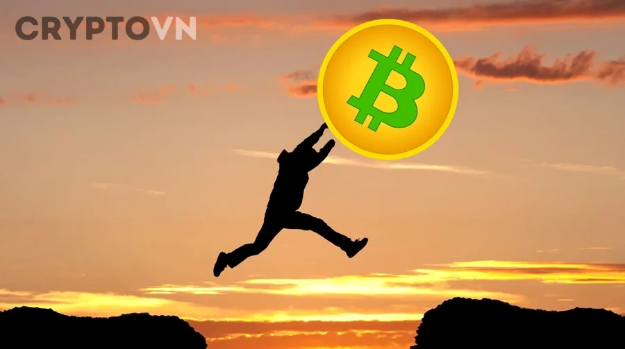 Chiến lược quản lý danh mục đầu tư altcoin và bảo vệ vốn