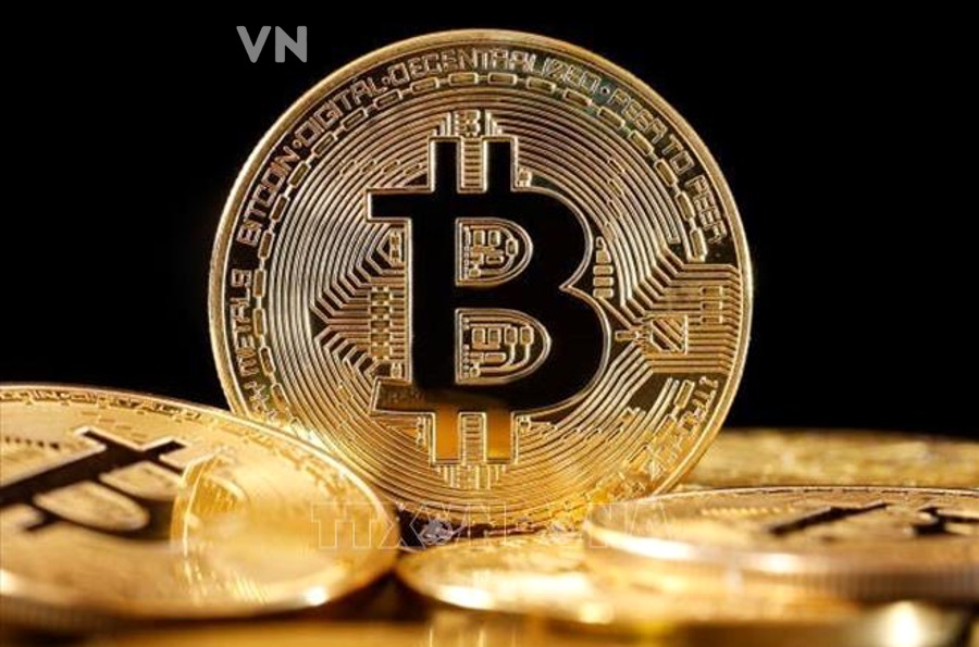 Những tiêu chí nào để chọn coin phòng thủ trong crypto?