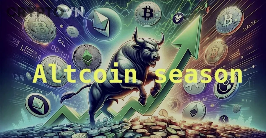 Top Altcoin Có Rủi Ro Cao Hơn Bitcoin Không?