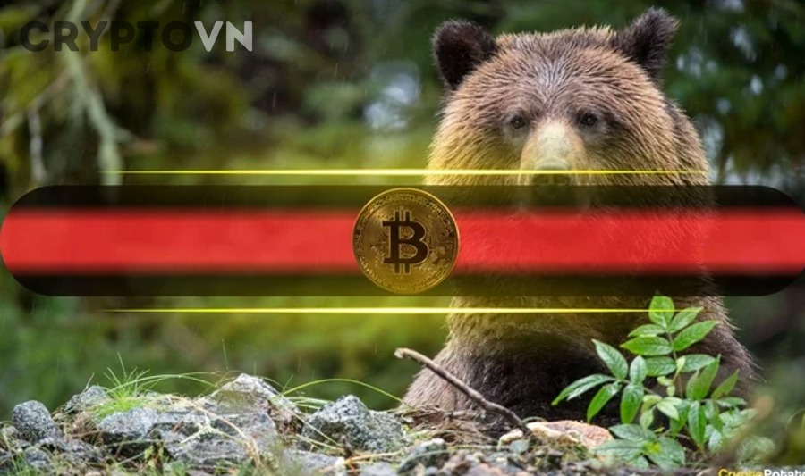 Biểu tượng Bitcoin đại diện cho chu kỳ 4 năm của BTC