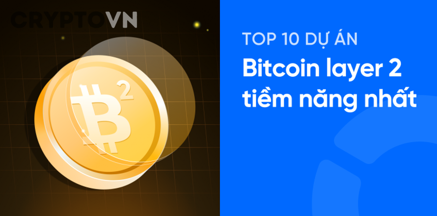 So Sánh Các Altcoin Layer 2 Tiềm Năng: Nên Hold Coin Nào Trong 2025?