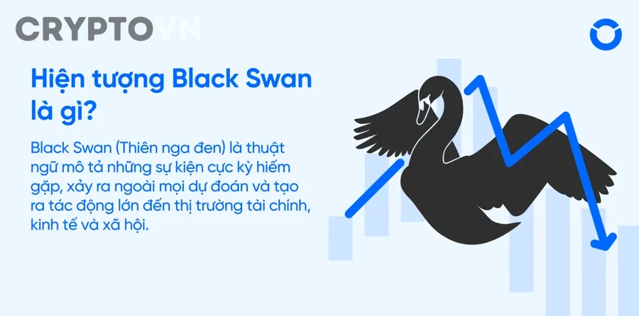 Cách Quản Lý Rủi Ro Black Swan Trong Crypto Để Bảo Vệ Danh Mục Cho Nhà Đầu Tư
