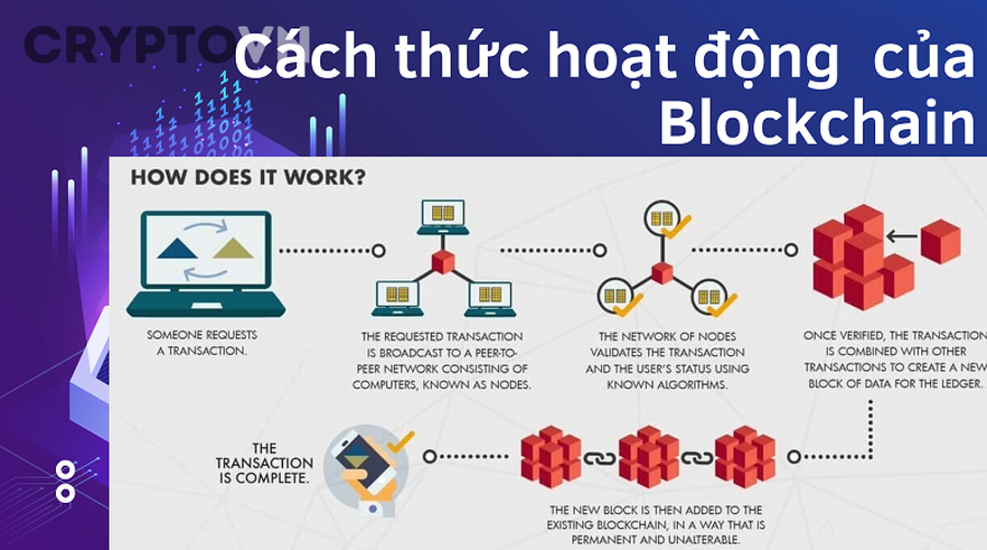 Có những loại Blockchain nào phổ biến hiện nay?