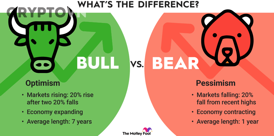 Biểu đồ giảm giá thể hiện xu hướng bear market crypto