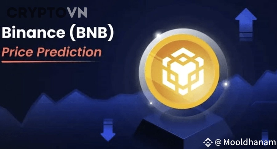 Có Những Sai Lầm Nào Khiến Nhà Đầu Tư Không Sống Sót Nổi Qua Bear Market?