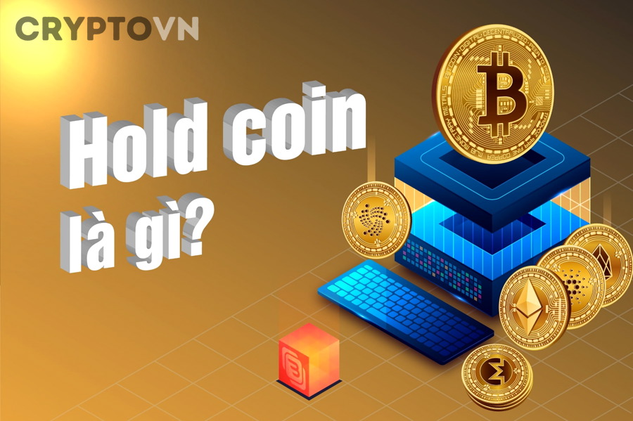 Biểu đồ thị trường crypto và chiến lược chọn coin để hold dài hạn