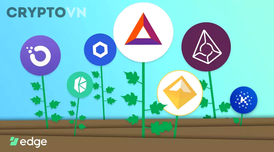 Minh họa blockchain và DeFi liên quan đến yield farming