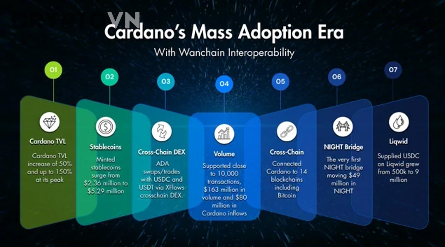 Cardano Là Gì Và Những Nền Tảng Nào Hỗ Trợ Thesis Đầu Tư Dài Hạn?