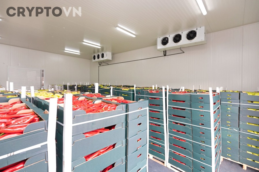Cold Storage Có An Toàn Hơn Ví Nóng Không?