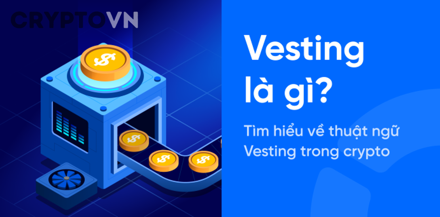 Những lỗi phổ biến khi đọc vesting schedule