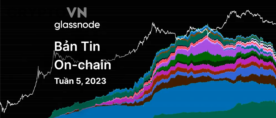 Khi nào exchange outflow tạo tín hiệu sai hoặc khiến nhà đầu tư đọc nhầm tích lũy?