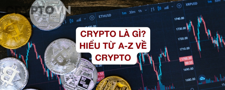 Người mới cần tránh những sai lầm nào khi tham gia crypto?
