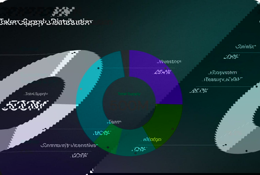 Các nhóm phân bổ token phổ biến trong một dự án crypto gồm những ai?