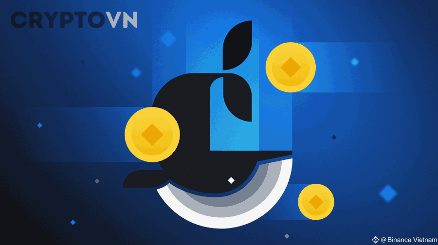 Hiểu Giới Hạn Của Dữ Liệu Whale Để Đọc Đúng Tín Hiệu Crypto Cho Nhà Đầu Tư