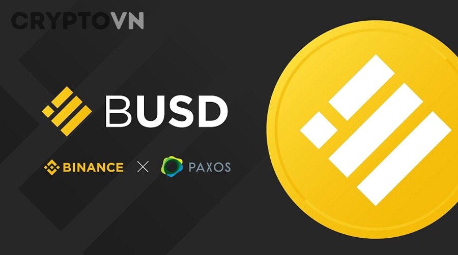 Logo Binance-Peg BUSD trên BNB Chain
