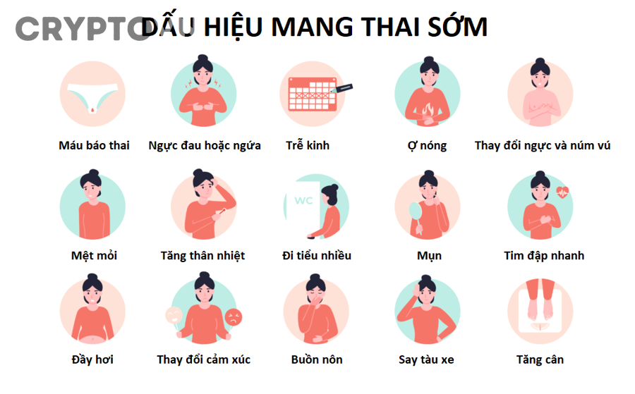 Dấu hiệu nào cho thấy thị trường đang chuyển từ tăng trưởng sang phân phối?