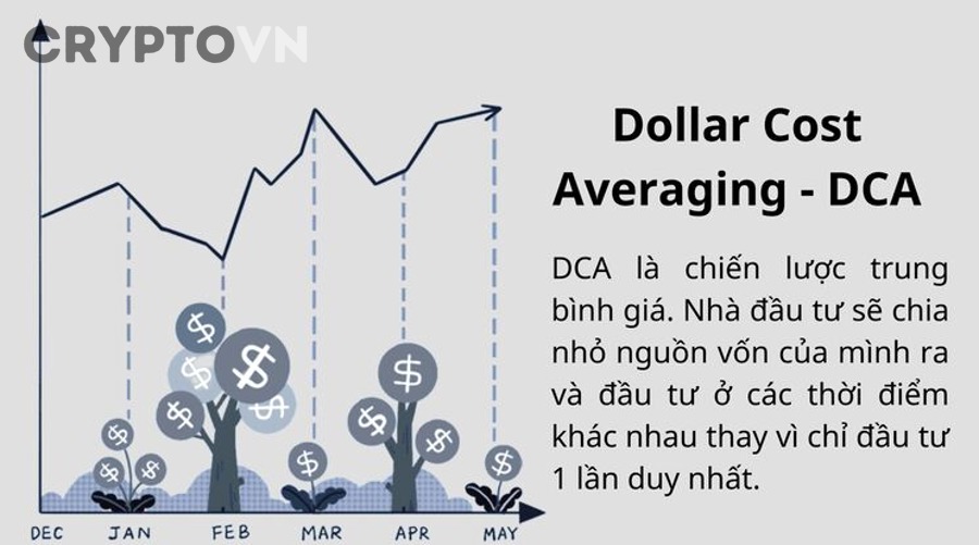 Có cần tái cân bằng danh mục khi đang DCA không?