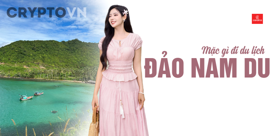 Checklist phân tích vesting token trước khi mua: Cách kiểm tra lịch unlock cho nhà đầu tư crypto