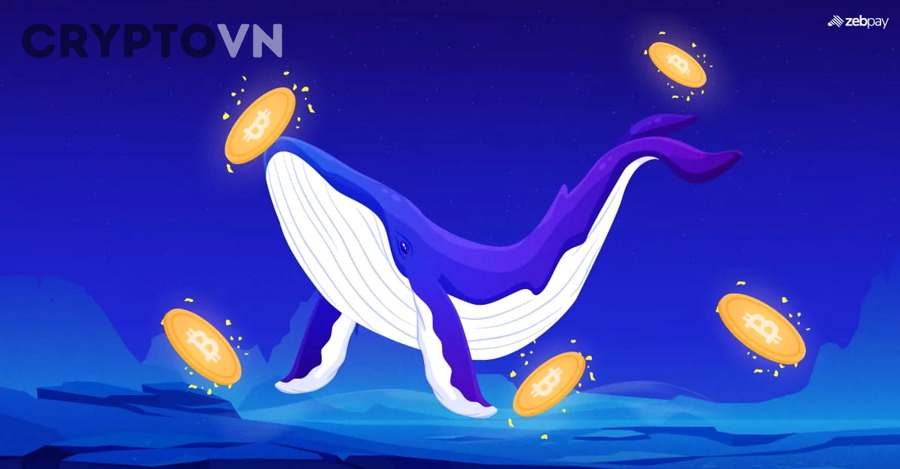 Dữ liệu on-chain và hoạt động ví lớn trong thị trường crypto