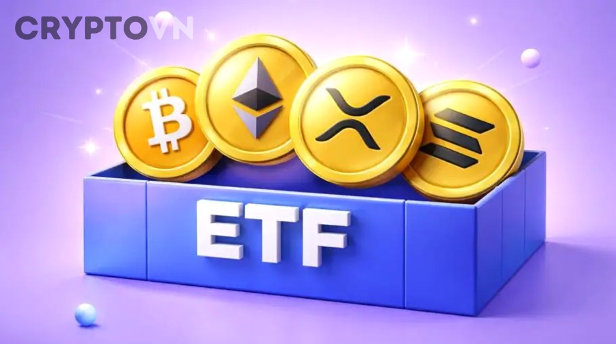 Hướng Dẫn Đọc Dữ Liệu Exchange Inflow/Outflow Để Nhận Biết Áp Lực Mua Bán Trong Crypto Cho Người Mới