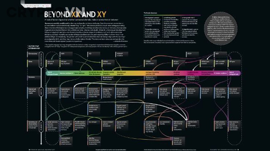 Cách So Sánh Allocation Giữa Các Dự Án Cùng Ngành Crypto Để Chọn Tokenomics Ít Rủi Ro Hơn