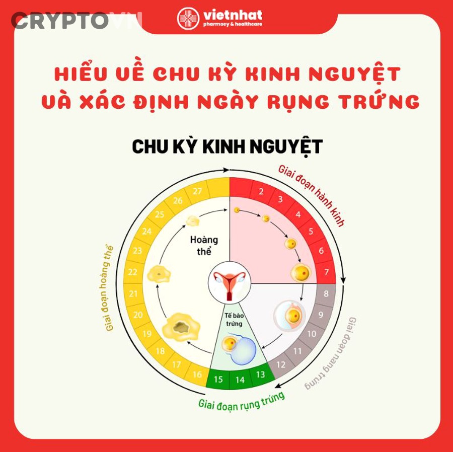Làm thế nào để phân biệt tín hiệu chuyển pha thật với bull trap hoặc bear trap?