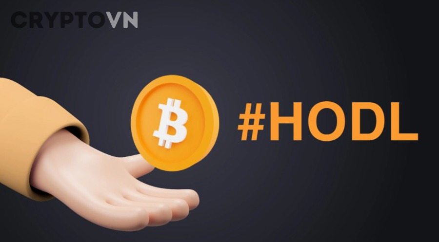 chiến lược đầu tư dài hạn crypto cho người mới