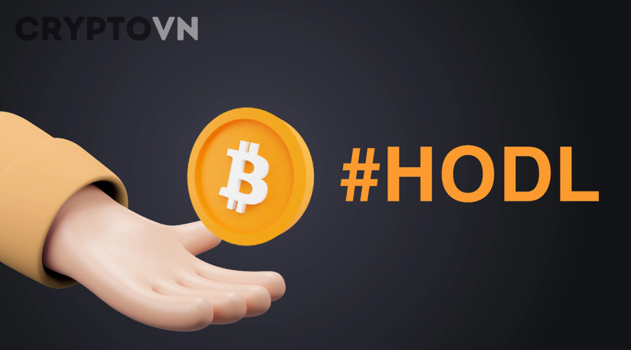 HODL khác gì với trading và bagholding trong crypto?