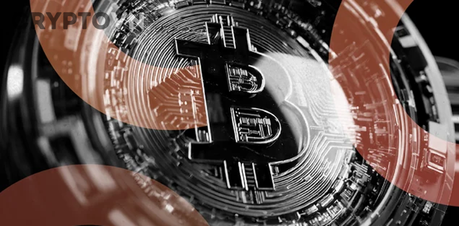 Bitcoin biểu tượng coin nền tảng phù hợp cho người mới