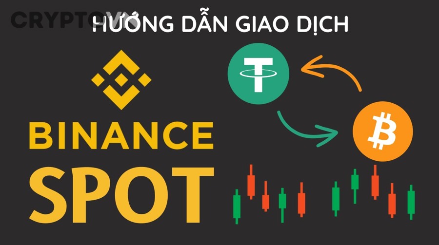 Spot trên sàn crypto là gì và có phù hợp với người mới không?