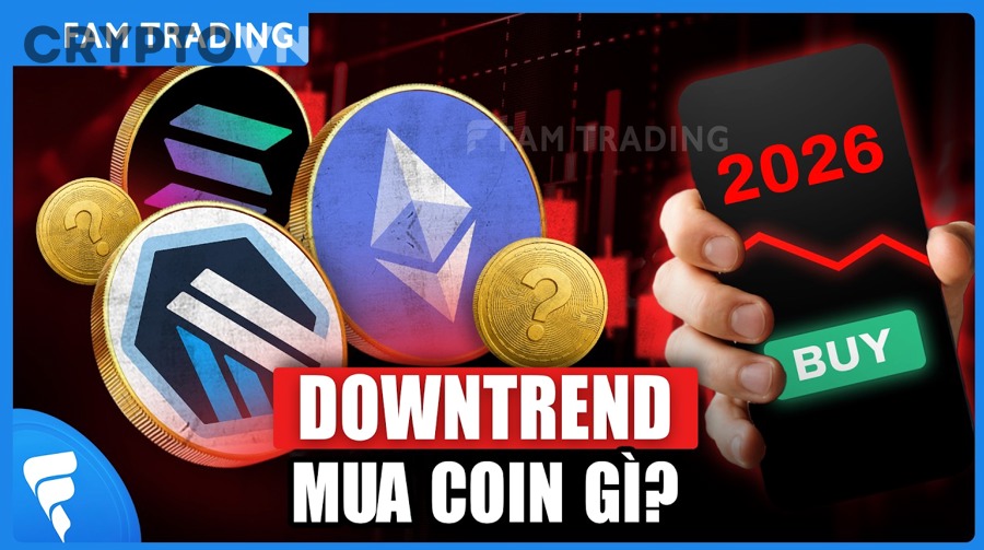 Nên phân bổ vốn DCA vào BTC/ETH và altcoin theo những mô hình nào?
