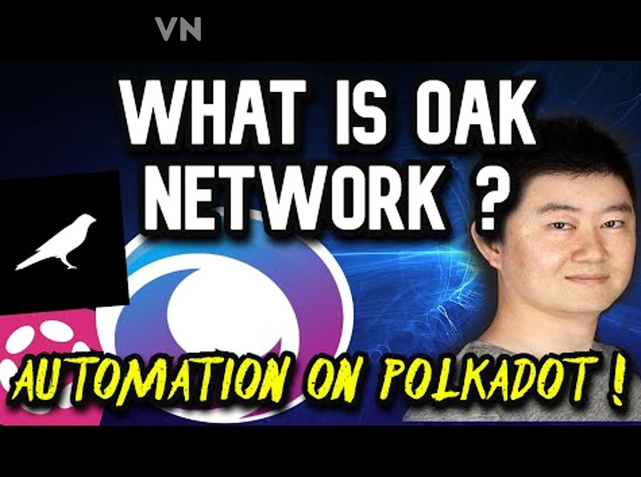 Crowdloan Polkadot là gì và mối liên hệ với Relay Chain