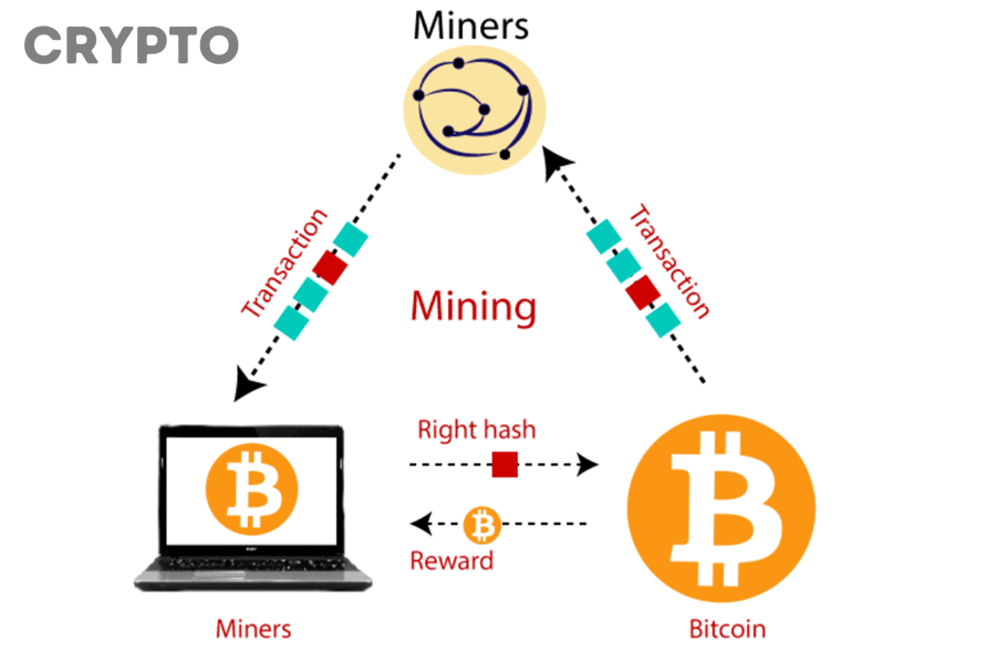 Cần những thông số nào để tính lợi nhuận đào coin theo tiền điện?